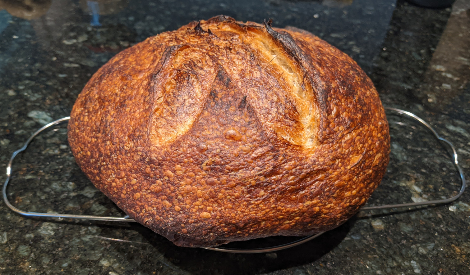 Finished sourdough loaf