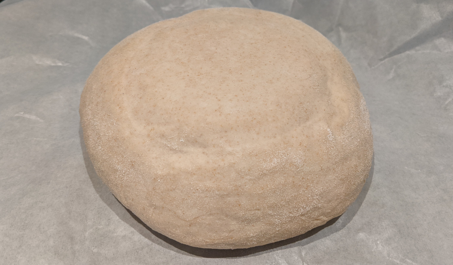 Dough after bulk fermentation